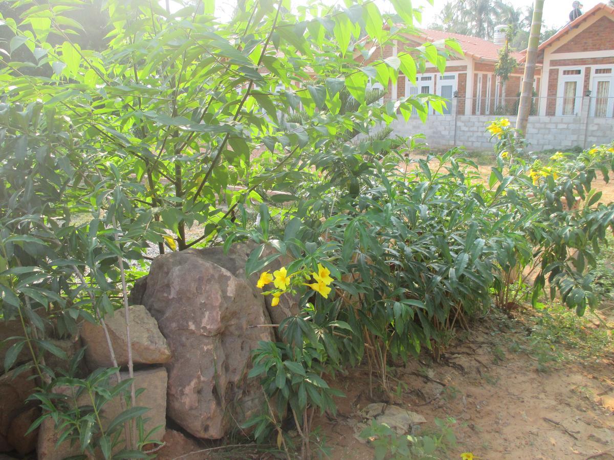Bamboo Garden Resort Phú Quốc Eksteriør billede