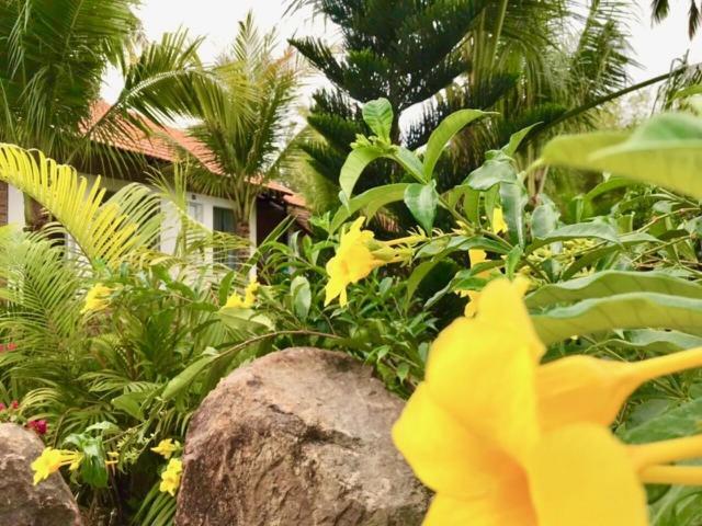 Bamboo Garden Resort Phú Quốc Eksteriør billede