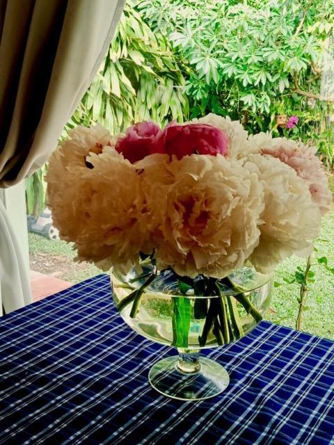 Bamboo Garden Resort Phú Quốc Eksteriør billede